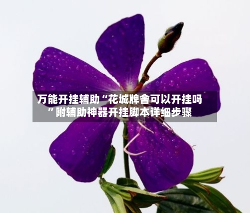 万能开挂辅助“花城牌舍可以开挂吗	”附辅助神器开挂脚本详细步骤-第2张图片