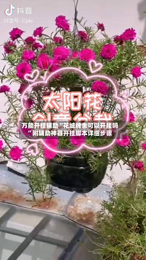 万能开挂辅助“花城牌舍可以开挂吗”附辅助神器开挂脚本详细步骤-第1张图片
