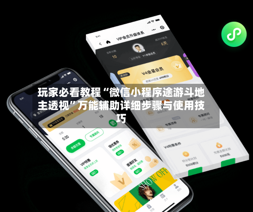 玩家必看教程“微信小程序途游斗地主透视”万能辅助详细步骤与使用技巧-第1张图片