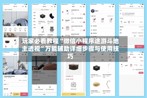 玩家必看教程“微信小程序途游斗地主透视”万能辅助详细步骤与使用技巧-第2张图片