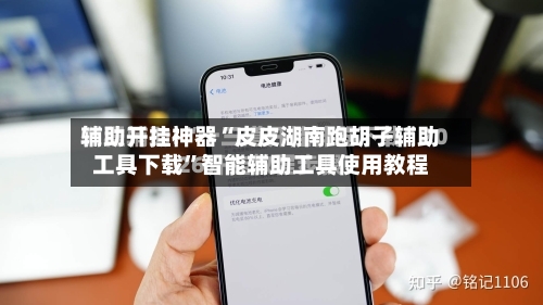 辅助开挂神器“皮皮湖南跑胡子辅助工具下载”智能辅助工具使用教程-第2张图片
