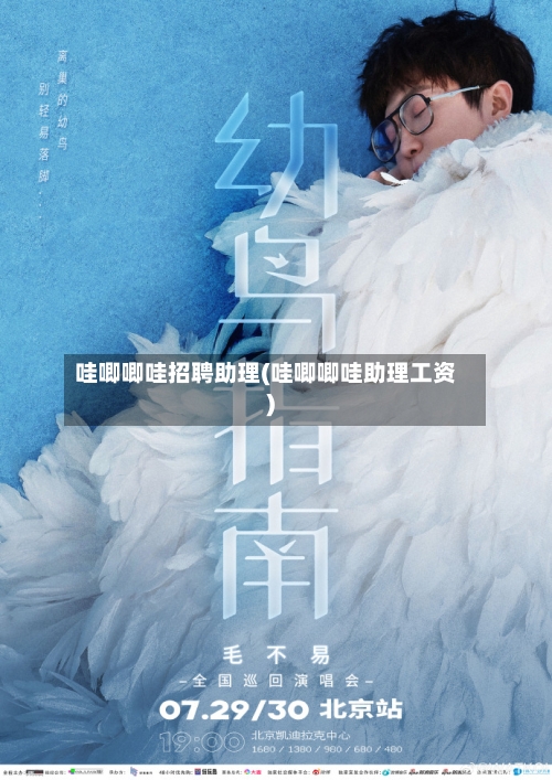 哇唧唧哇招聘助理(哇唧唧哇助理工资)-第2张图片