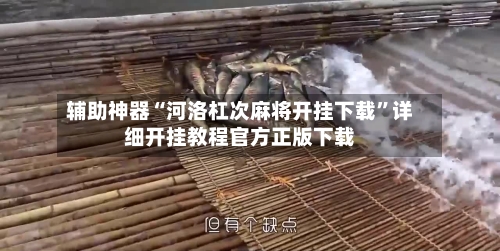 辅助神器“河洛杠次麻将开挂下载	”详细开挂教程官方正版下载-第1张图片