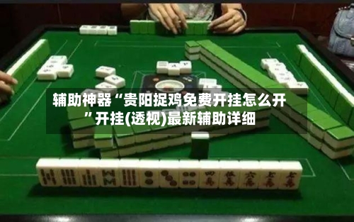 辅助神器“贵阳捉鸡免费开挂怎么开”开挂(透视)最新辅助详细-第2张图片