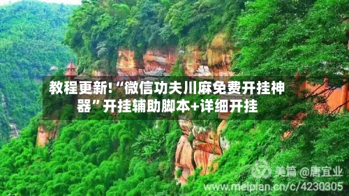 教程更新!“微信功夫川麻免费开挂神器	”开挂辅助脚本+详细开挂-第1张图片