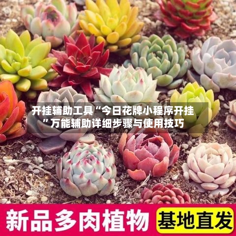 开挂辅助工具“今日花牌小程序开挂”万能辅助详细步骤与使用技巧-第1张图片