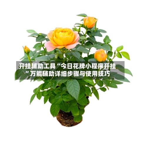 开挂辅助工具“今日花牌小程序开挂	”万能辅助详细步骤与使用技巧-第2张图片