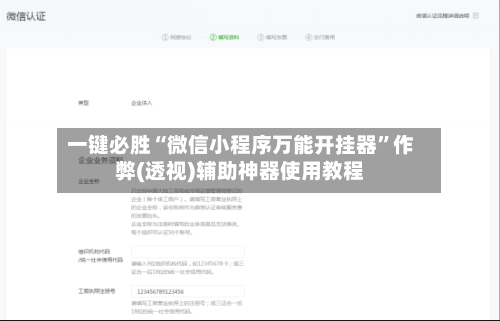 一键必胜“微信小程序万能开挂器	”作弊(透视)辅助神器使用教程-第1张图片