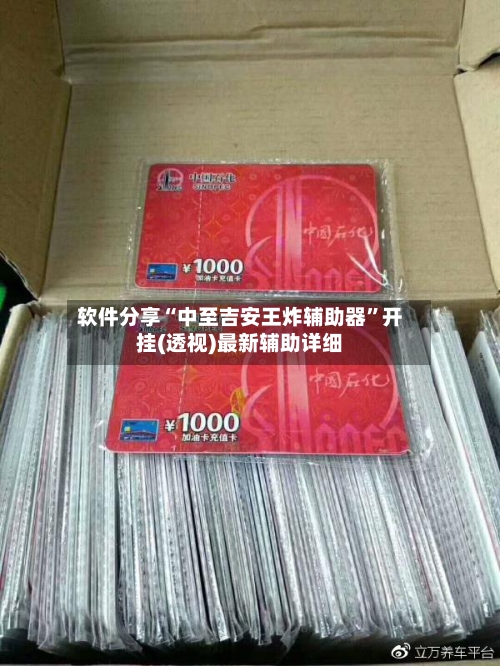 软件分享“中至吉安王炸辅助器”开挂(透视)最新辅助详细-第2张图片