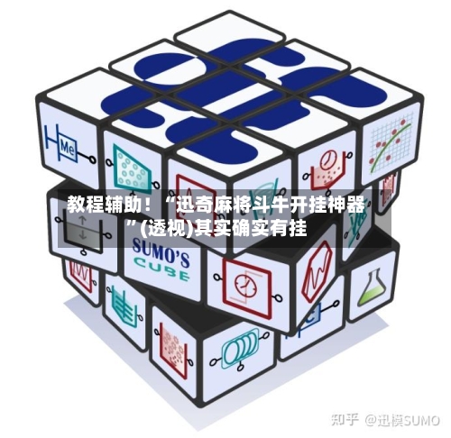 教程辅助！“迅奇麻将斗牛开挂神器”(透视)其实确实有挂-第2张图片