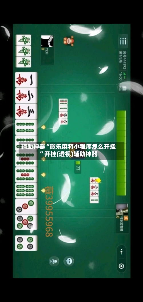 辅助神器“微乐麻将小程序怎么开挂”开挂(透视)辅助神器-第1张图片