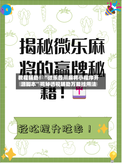 教程辅助！“微乐四川麻将小程序开源脚本”揭秘透视辅助万能挂用法-第3张图片