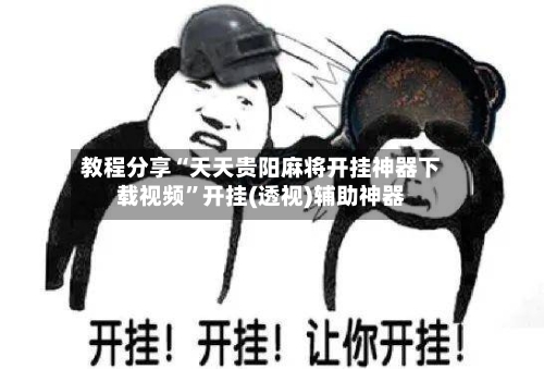 教程分享“天天贵阳麻将开挂神器下载视频”开挂(透视)辅助神器-第2张图片