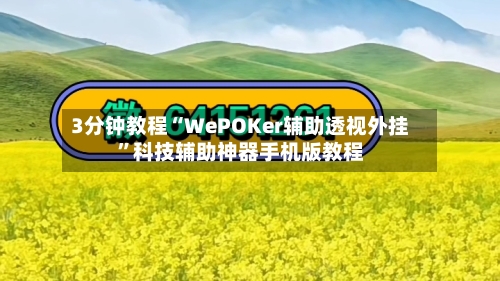 3分钟教程“WePOKer辅助透视外挂”科技辅助神器手机版教程-第1张图片