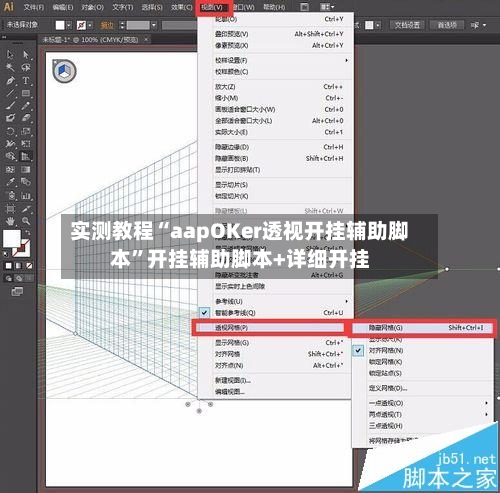 实测教程“aapOKer透视开挂辅助脚本	”开挂辅助脚本+详细开挂-第2张图片