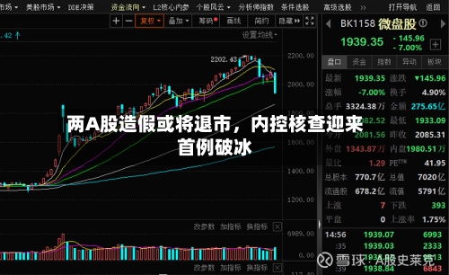 两A股造假或将退市，内控核查迎来首例破冰-第2张图片