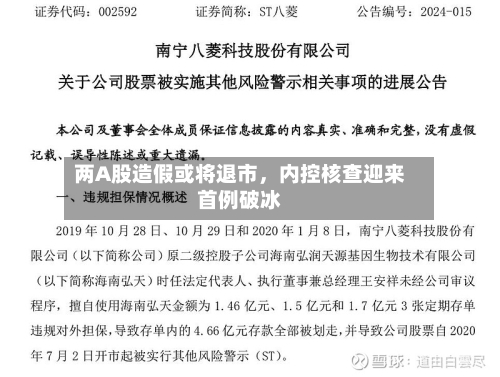 两A股造假或将退市，内控核查迎来首例破冰-第3张图片
