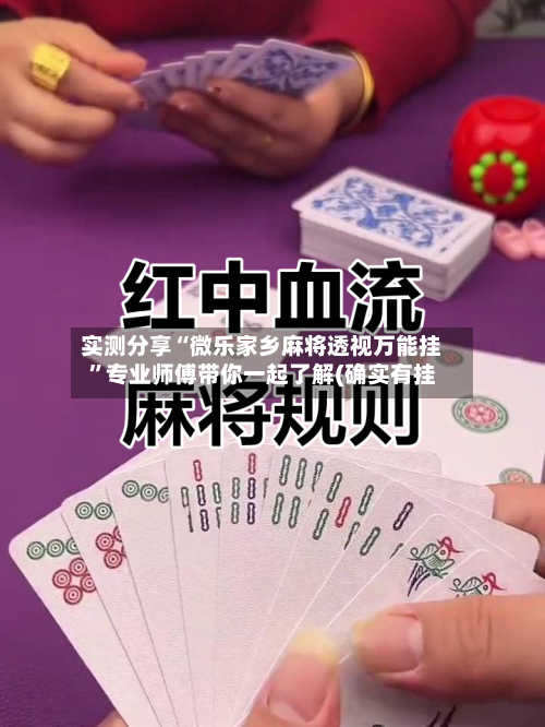 实测分享“微乐家乡麻将透视万能挂”专业师傅带你一起了解(确实有挂-第2张图片