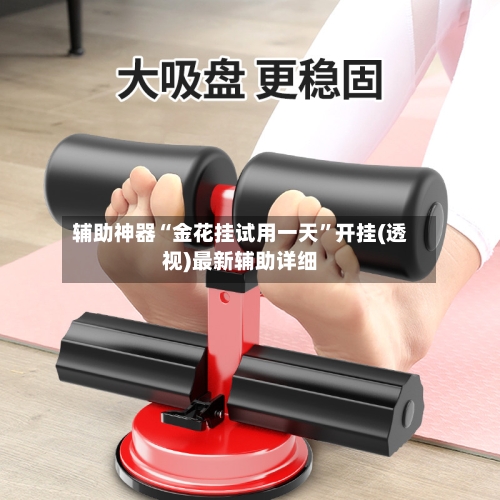 辅助神器“金花挂试用一天	”开挂(透视)最新辅助详细-第1张图片