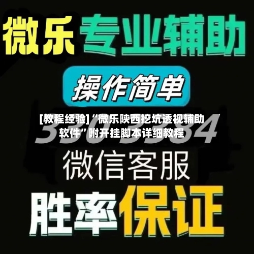 [教程经验]“微乐陕西挖坑透视辅助软件”附开挂脚本详细教程-第1张图片
