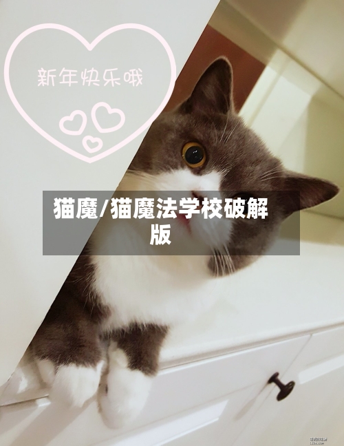猫魔/猫魔法学校破解版-第2张图片