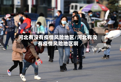 河北有没有疫情风险地区/河北有没有疫情风险地区啊-第1张图片