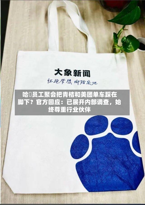 哈啰员工聚会把青桔和美团单车踩在脚下？官方回应：已展开内部调查，始终尊重行业伙伴-第2张图片
