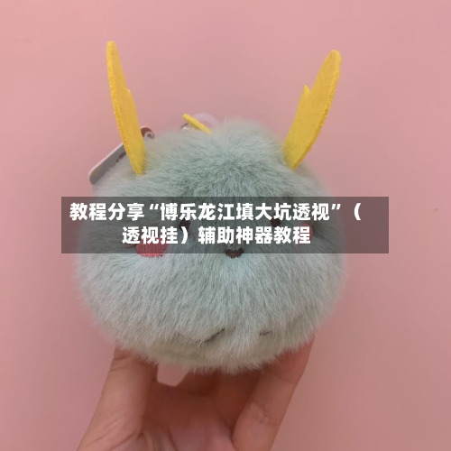 教程分享“博乐龙江填大坑透视”（透视挂）辅助神器教程-第1张图片