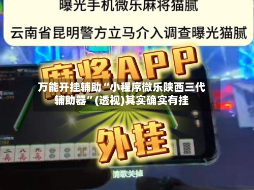 万能开挂辅助“小程序微乐陕西三代辅助器	”(透视)其实确实有挂-第2张图片