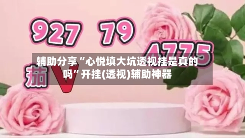 辅助分享“心悦填大坑透视挂是真的吗”开挂(透视)辅助神器-第1张图片