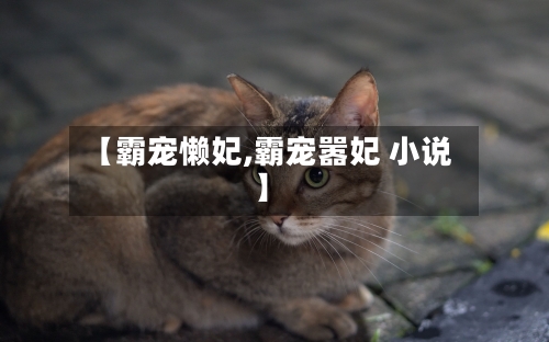 【霸宠懒妃,霸宠嚣妃 小说】-第2张图片