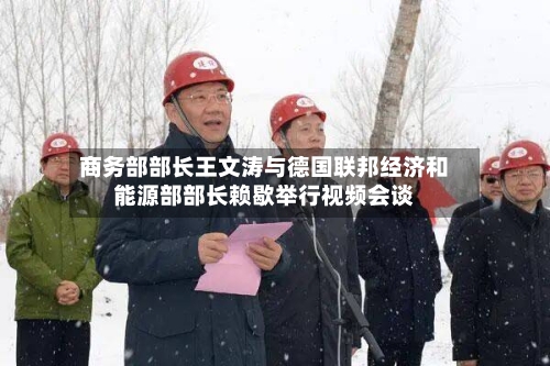 商务部部长王文涛与德国联邦经济和能源部部长赖歇举行视频会谈-第2张图片