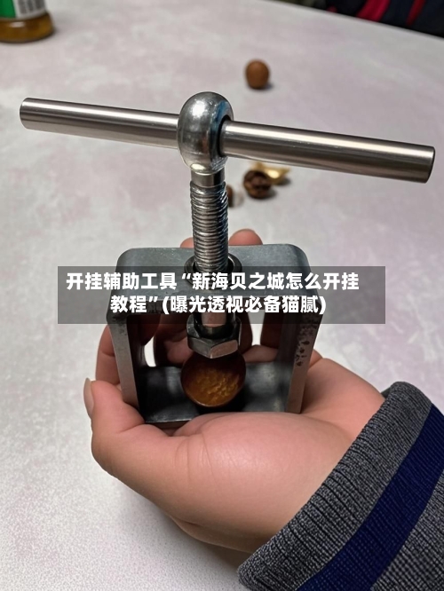 开挂辅助工具“新海贝之城怎么开挂教程”(曝光透视必备猫腻)-第2张图片