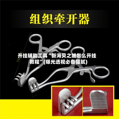 开挂辅助工具“新海贝之城怎么开挂教程”(曝光透视必备猫腻)-第3张图片