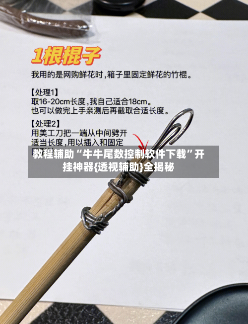 教程辅助“牛牛尾数控制软件下载	”开挂神器{透视辅助}全揭秘-第2张图片