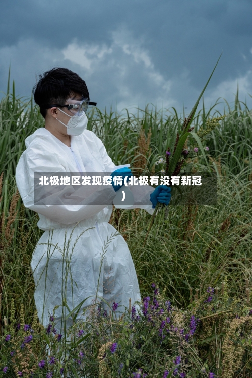 北极地区发现疫情(北极有没有新冠)-第3张图片