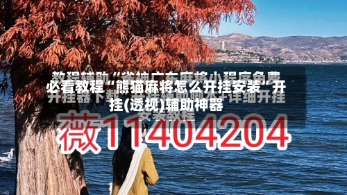 必看教程“熊猫麻将怎么开挂安装	”开挂(透视)辅助神器-第1张图片