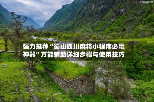 强力推荐“蜀山四川麻将小程序必赢神器”万能辅助详细步骤与使用技巧-第2张图片