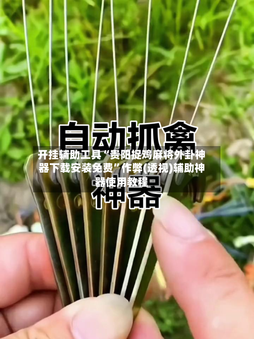 开挂辅助工具“贵阳捉鸡麻将外卦神器下载安装免费	”作弊(透视)辅助神器使用教程-第2张图片