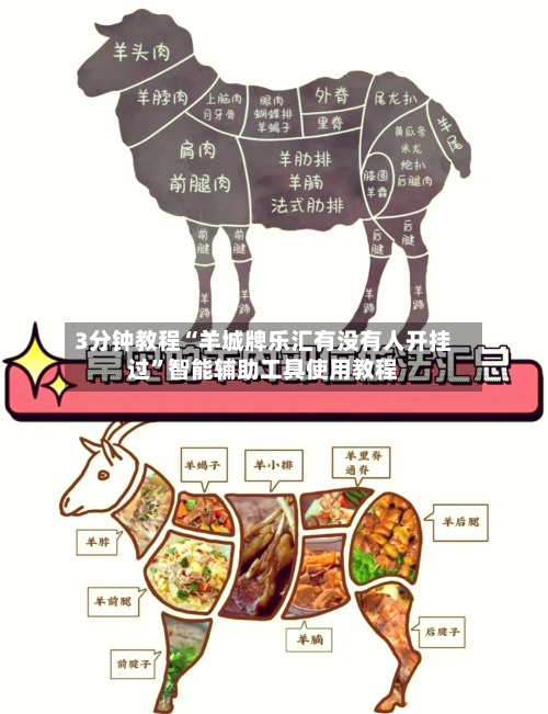 3分钟教程“羊城牌乐汇有没有人开挂过	”智能辅助工具使用教程-第1张图片