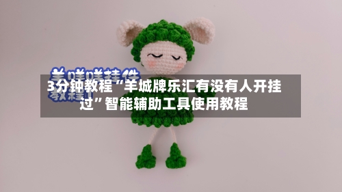 3分钟教程“羊城牌乐汇有没有人开挂过”智能辅助工具使用教程-第3张图片