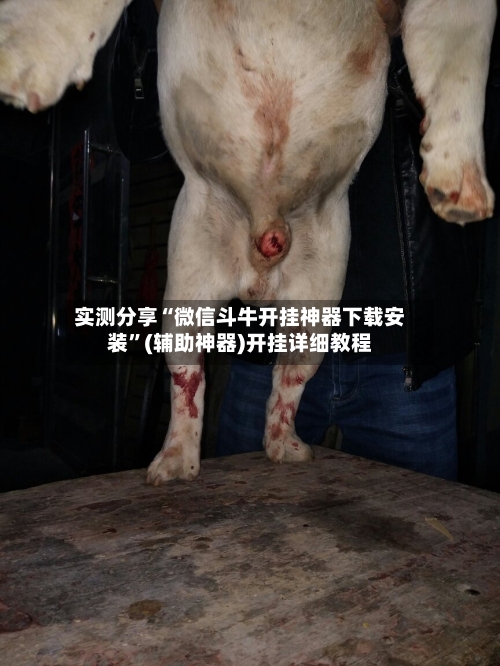 实测分享“微信斗牛开挂神器下载安装”(辅助神器)开挂详细教程-第2张图片