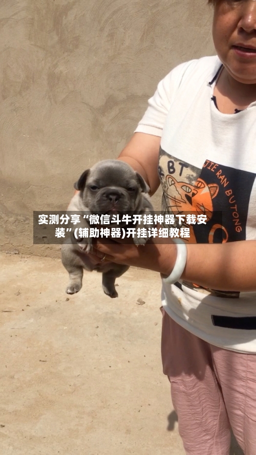 实测分享“微信斗牛开挂神器下载安装”(辅助神器)开挂详细教程-第1张图片