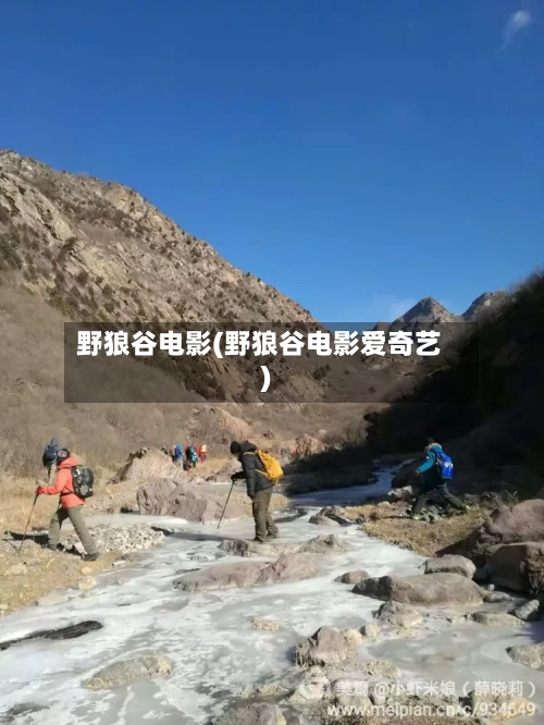 野狼谷电影(野狼谷电影爱奇艺)-第2张图片