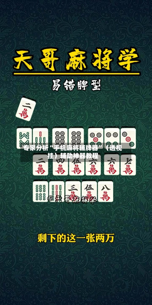 专家分析“手机麻将辅牌器”（透视挂）辅助神器教程-第3张图片