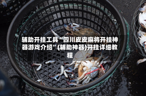 辅助开挂工具“四川皮皮麻将开挂神器游戏介绍”(辅助神器)开挂详细教程-第3张图片