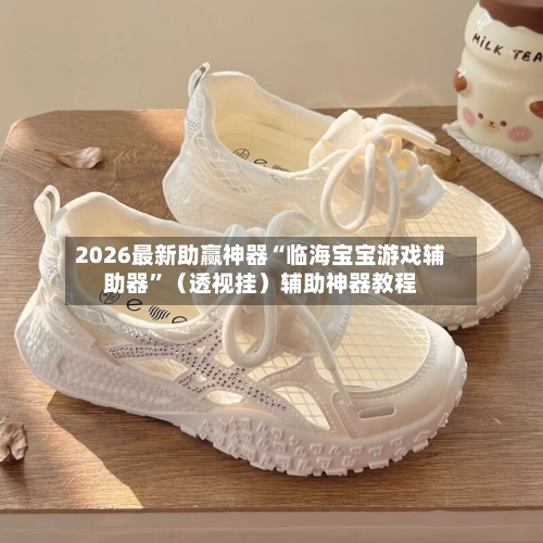 2026最新助赢神器“临海宝宝游戏辅助器”（透视挂）辅助神器教程-第3张图片