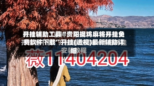 开挂辅助工具“贵阳捉鸡麻将开挂免费软件下载	”开挂(透视)最新辅助详细-第2张图片