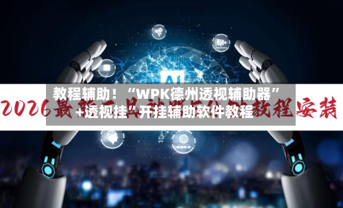 教程辅助！“WPK德州透视辅助器”+透视挂	”开挂辅助软件教程-第3张图片