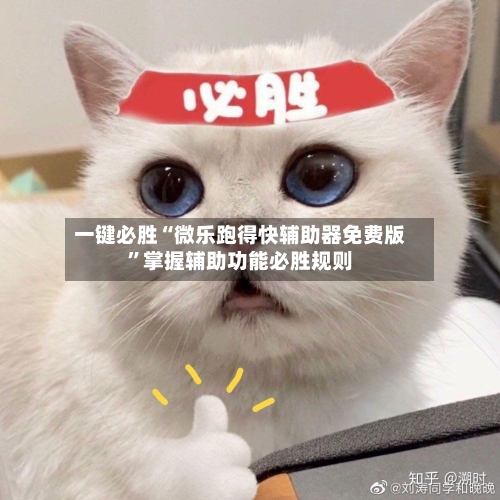 一键必胜“微乐跑得快辅助器免费版	”掌握辅助功能必胜规则-第3张图片